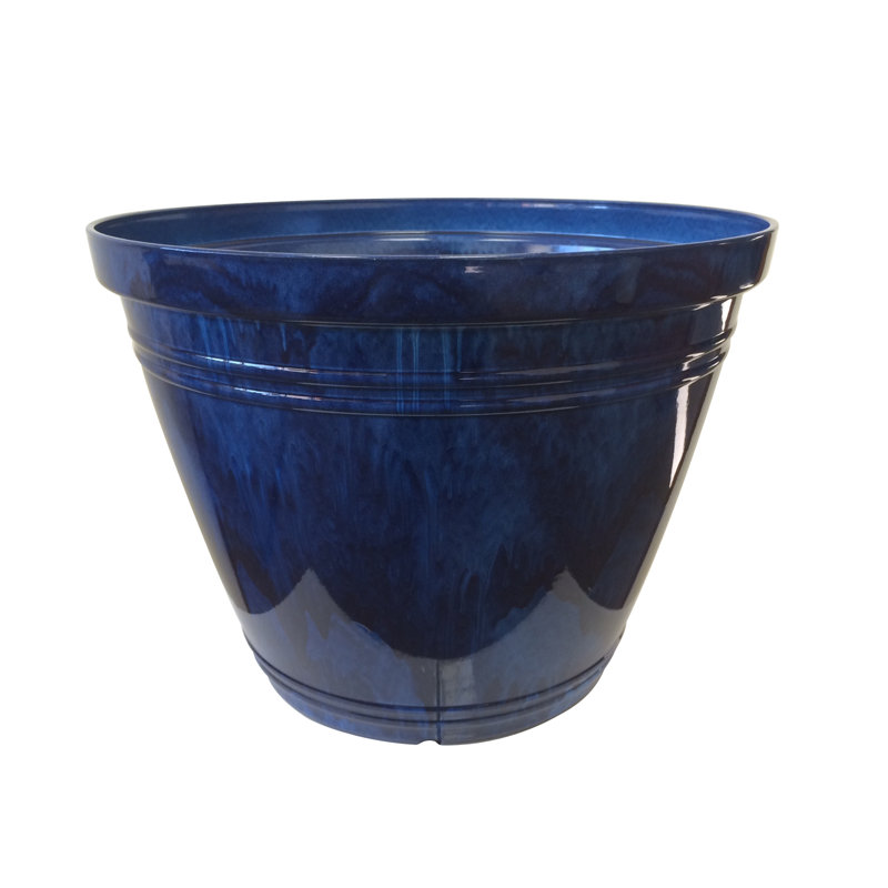 Breakwater Bay Bellwood Indoor/Outdoor Round Resin Pot Planter & Reviews Wayfair